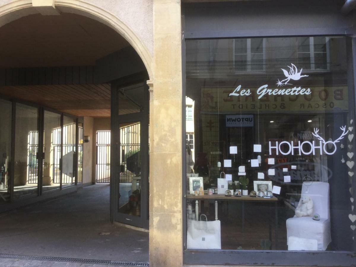 Les Grenettes2 Apartamento Metz Exterior foto